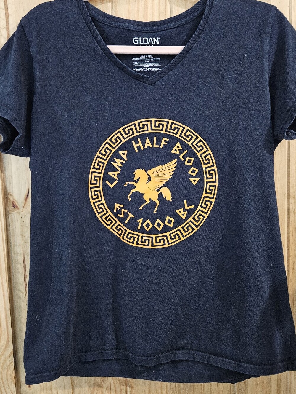 Gildan Kids Navy Blue 'Camp Half Blood' Graphic V‑Neck Tee